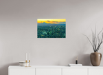24 x 16″, Fujiflex Print Tokyo Skyline