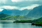 Main image Pacific Rainforest Cliffs