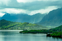Main image Pacific Rainforest Cliffs