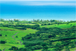 Main image Ka'a'awa Valley