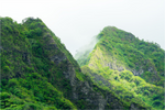 Main image Crepuscular Rainforest Mountaintop