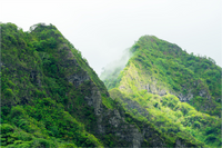 Main image Crepuscular Rainforest Mountaintop