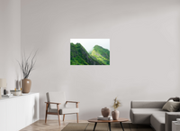 36 x 24″, Fujiflex Print Crepuscular Rainforest Mountaintop