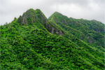 Main image Nubilous Hawaiian Ridge