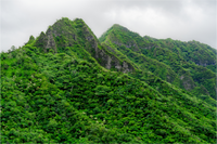 Main image Nubilous Hawaiian Ridge